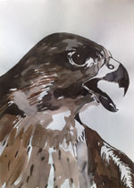 bird_small